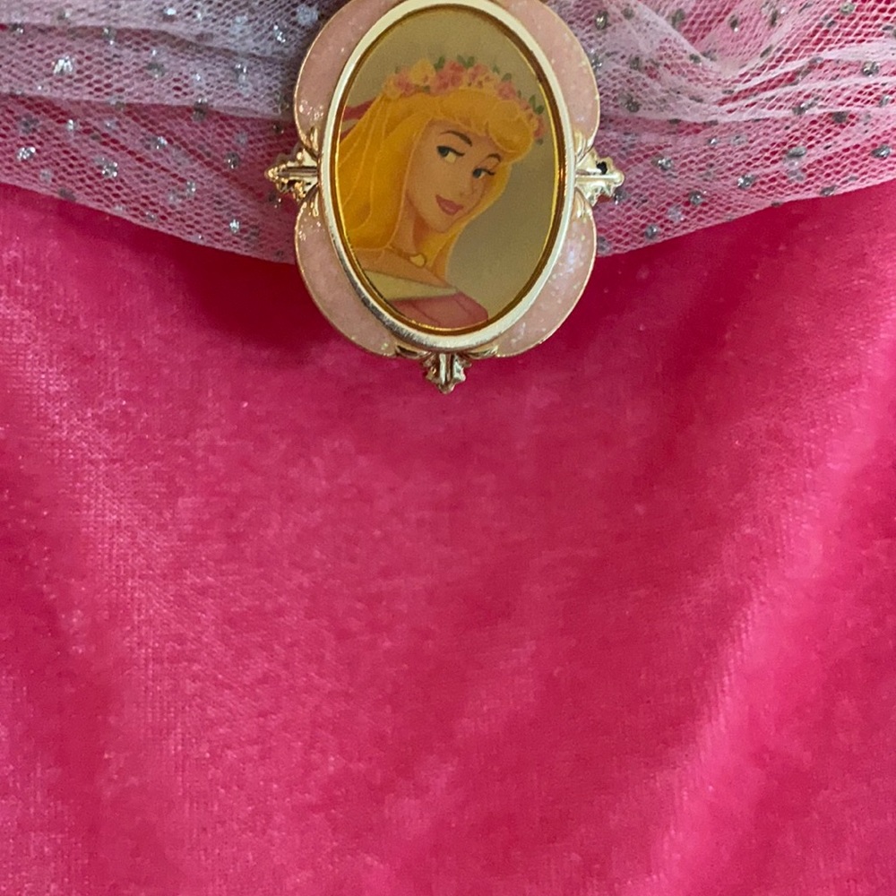 Aurora Sleeping Beauty Princess costume